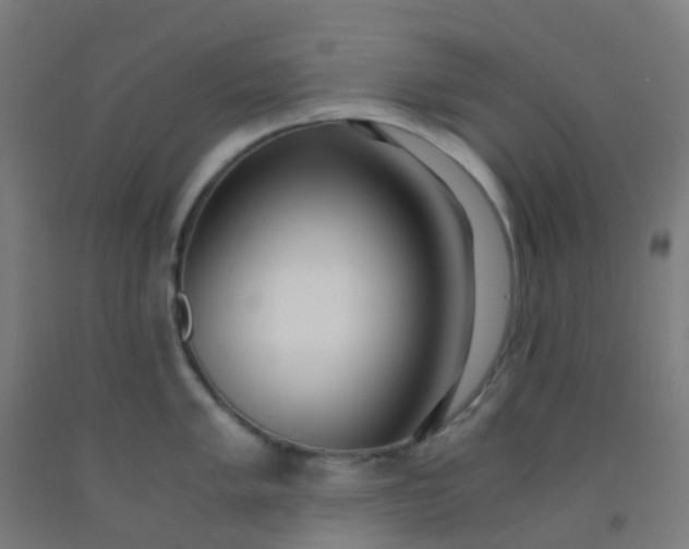 X0000092331005200709281423