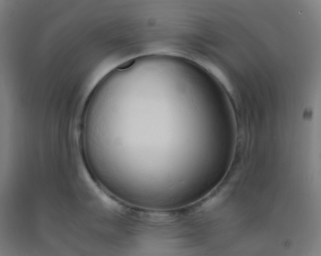 X0000092331007200709281422