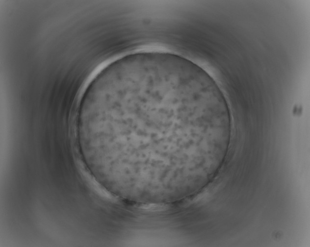 X0000092331008200709281422