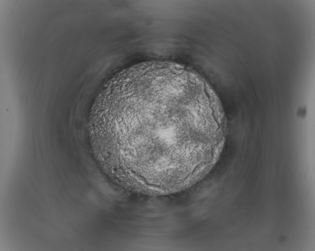 X0000092331009200709281422