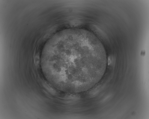 X0000092331011200709281422