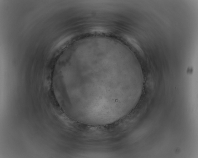 X0000092331015200709281422