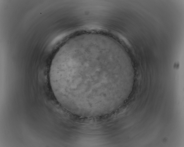 X0000092331016200709281422
