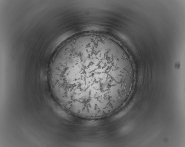 X0000092331017200709281422