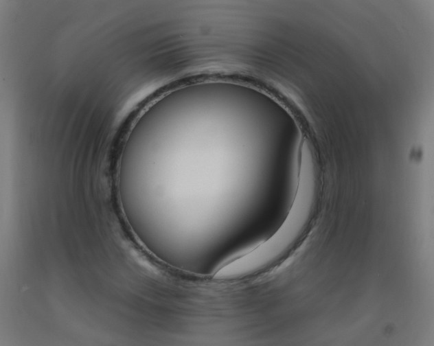 X0000092331018200709281422