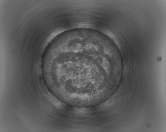 X0000092331019200709281422