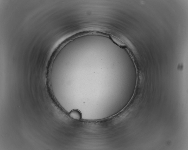 X0000092331020200709281422