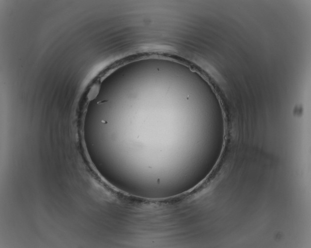 X0000092331022200709281422