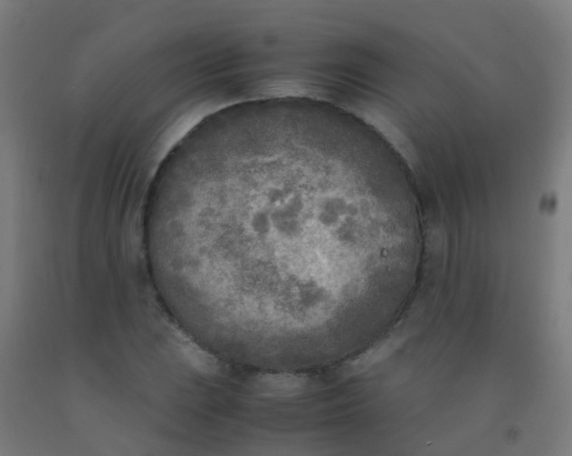 X0000092331023200709281422