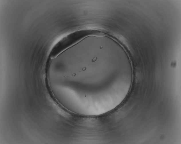 X0000092331024200709281422