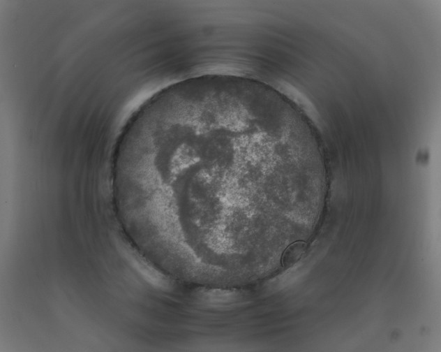 X0000092331027200709281422