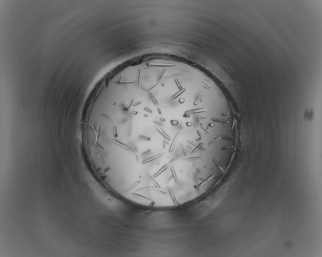 X0000092331028200709281422