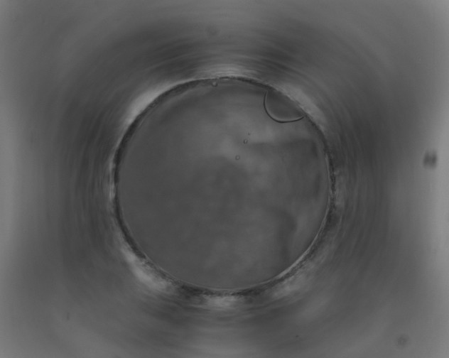 X0000092331031200709281422