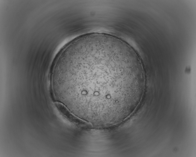 X0000092331032200709281422