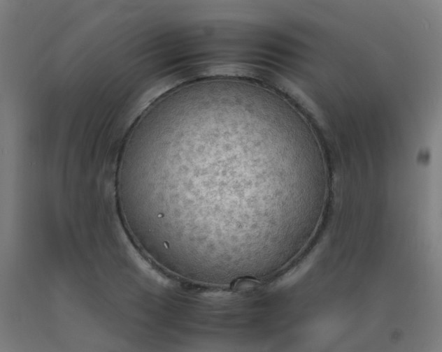 X0000092331033200709281422