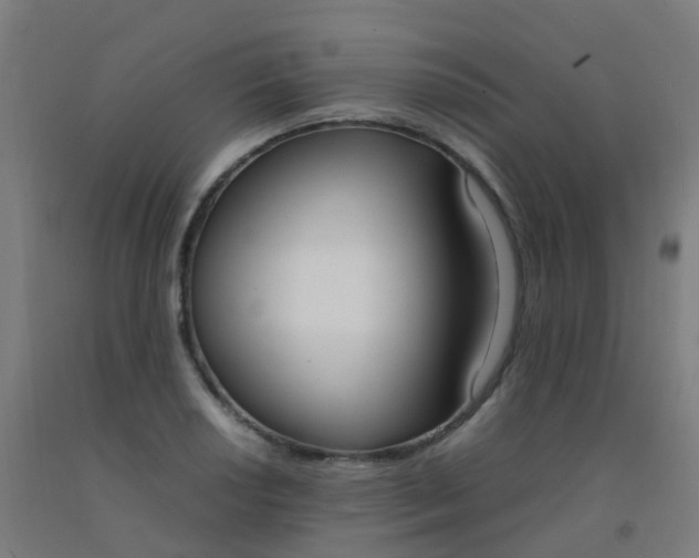 X0000092331034200709281422