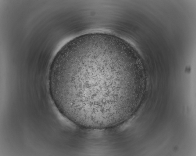 X0000092331038200709281422
