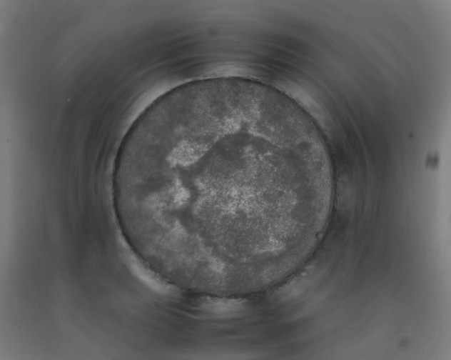 X0000092331039200709281422
