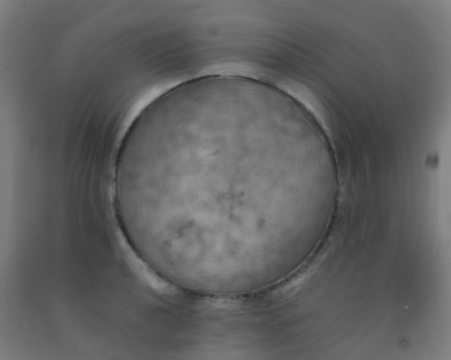 X0000092331040200709281422