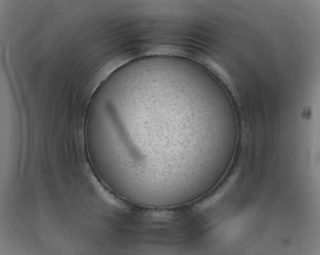 X0000092331041200709281422