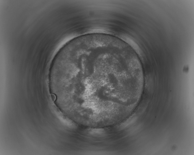 X0000092331043200709281422