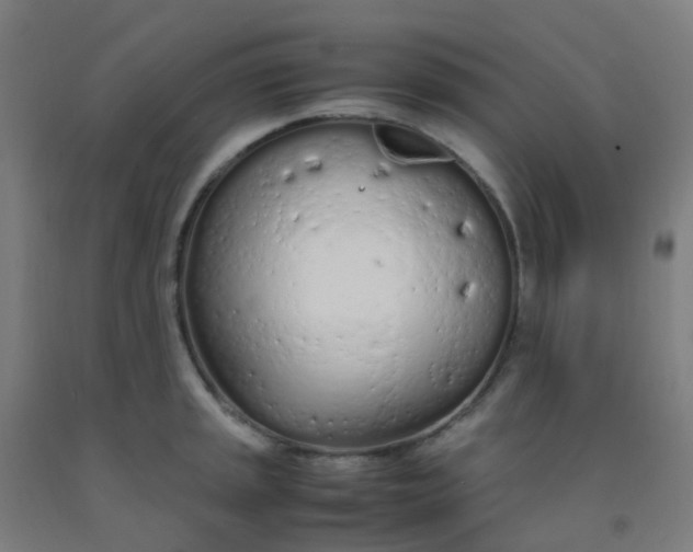 X0000092331045200709281422