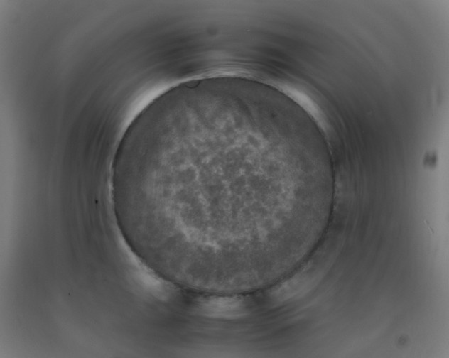 X0000092331047200709281422