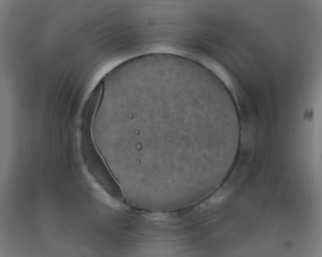 X0000092331048200709281422