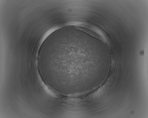 X0000092331050200709281422