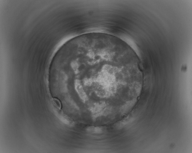 X0000092331051200709281422