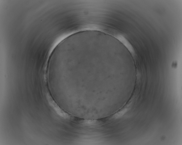 X0000092331052200709281422