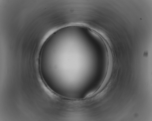 X0000092331054200709281422