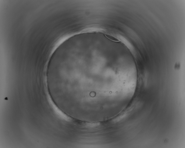 X0000092331055200709281422