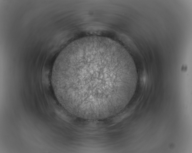 X0000092331060200709281422