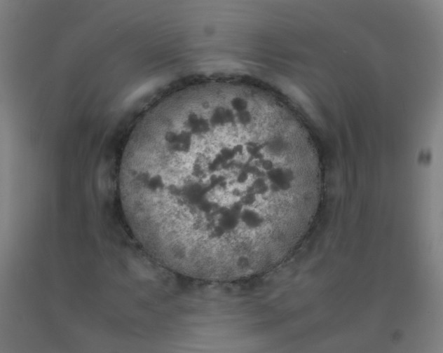 X0000092331063200709281422