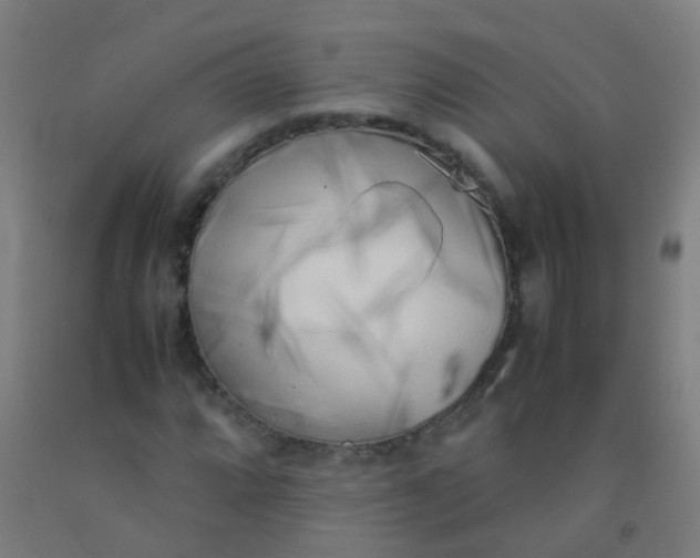 X0000092331064200709281422