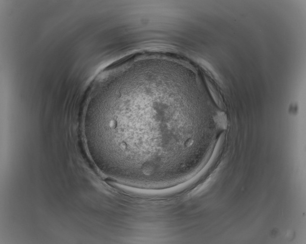 X0000092331065200709281422