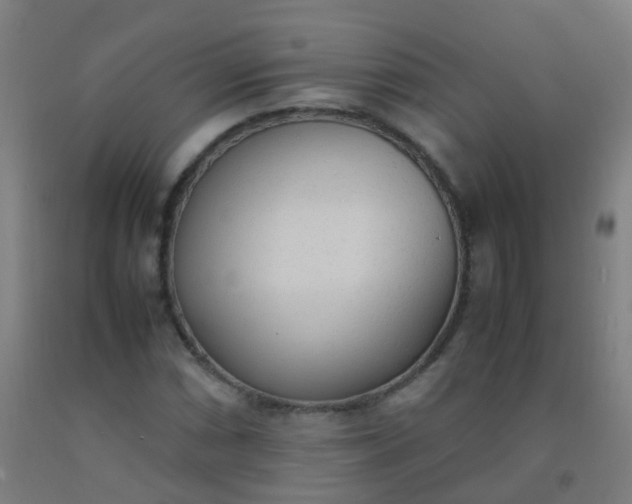 X0000092331066200709281422