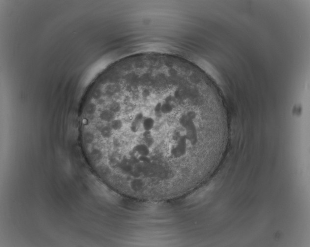 X0000092331067200709281422