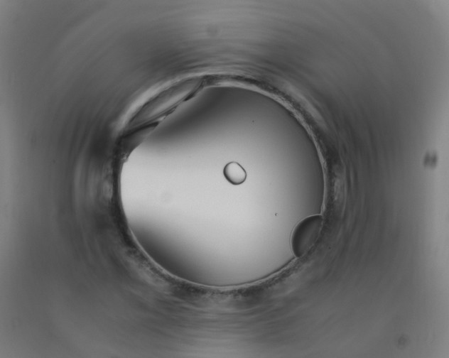 X0000092331069200709281422