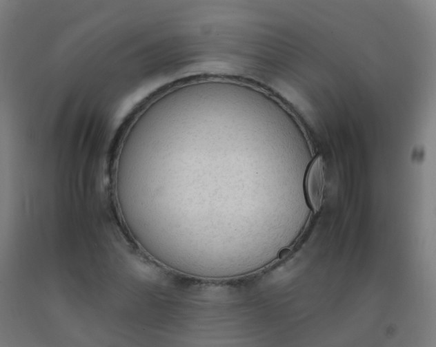 X0000092331070200709281422