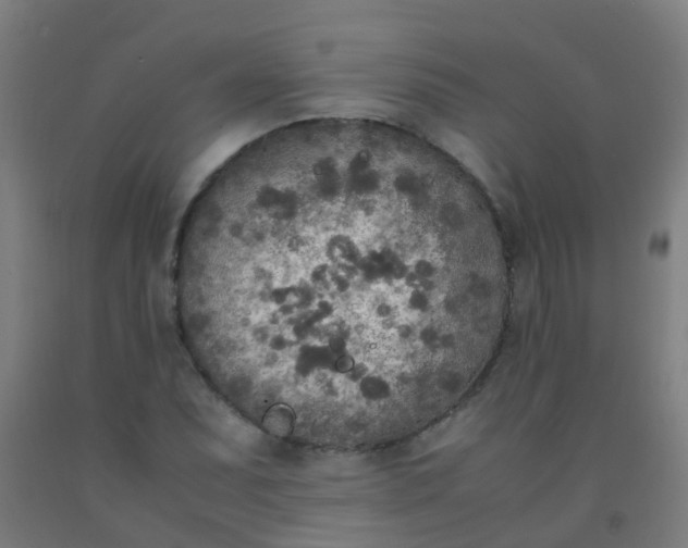 X0000092331071200709281422