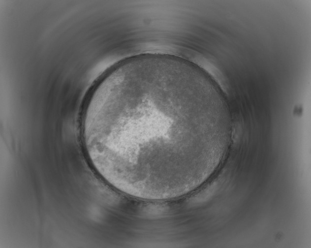 X0000092331074200709281422