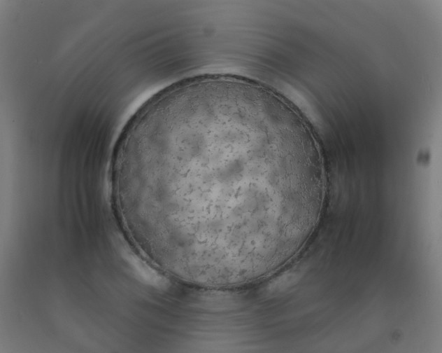 X0000092331076200709281422