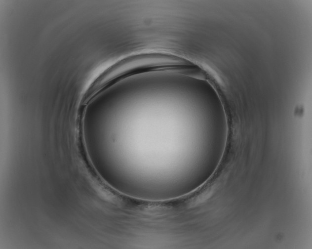 X0000092331077200709281422