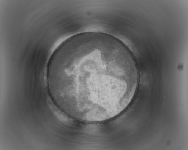 X0000092331078200709281422