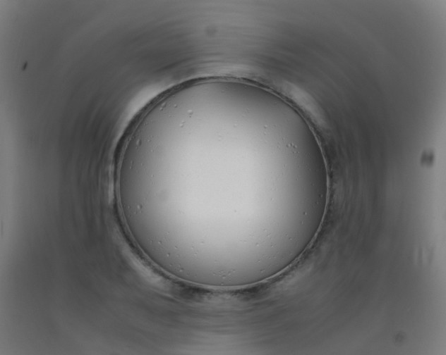 X0000092331079200709281422