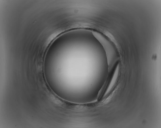X0000092331081200709281422