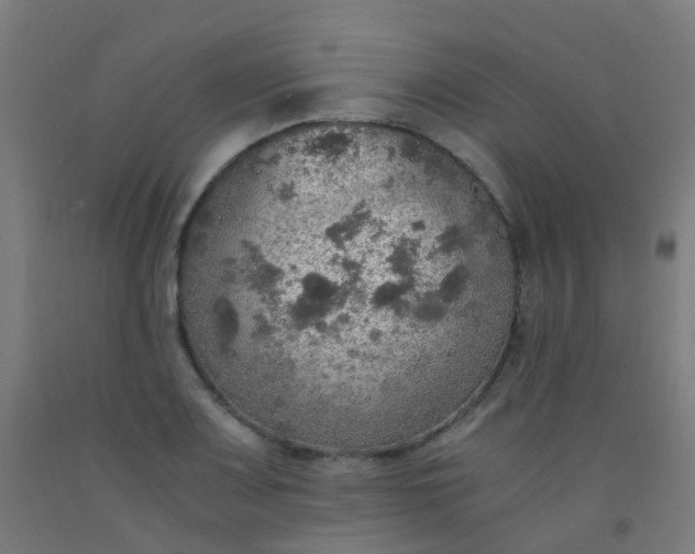 X0000092331083200709281422