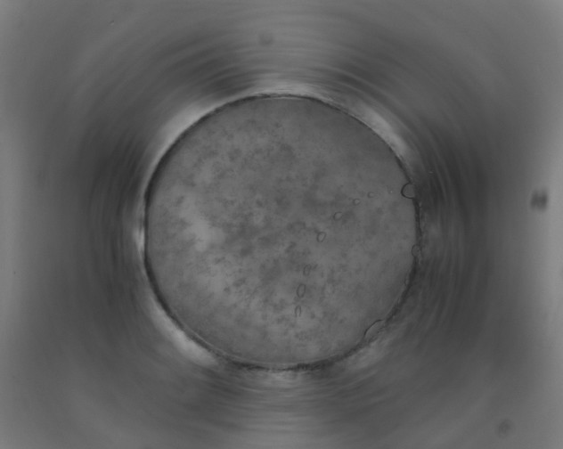 X0000092331084200709281422